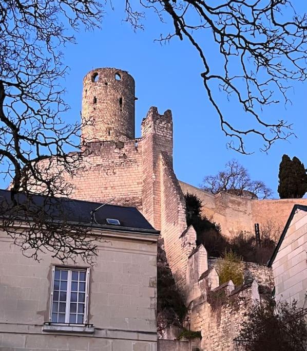 La Tour De L Horloge, Appt Typique A 500M Du Chateau Шинон Екстер'єр фото