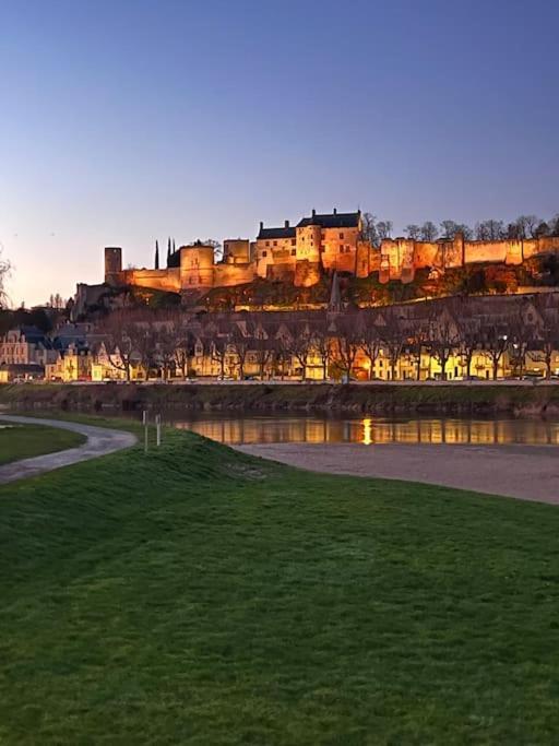 La Tour De L Horloge, Appt Typique A 500M Du Chateau Шинон Екстер'єр фото